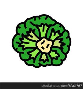broccoli green color icon vector. broccoli green sign. isolated symbol illustration. broccoli green color icon vector illustration