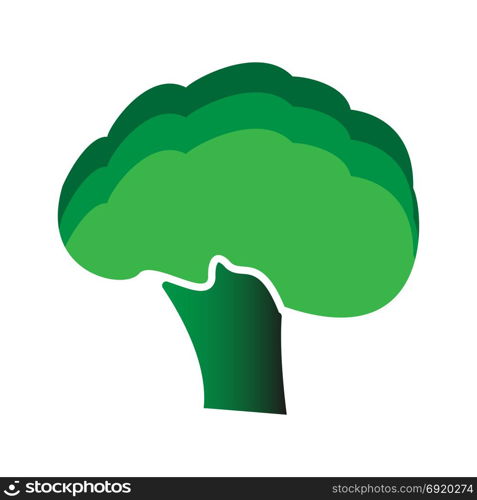 Broccoli icon . Flat style. Broccoli icon . It is flat style