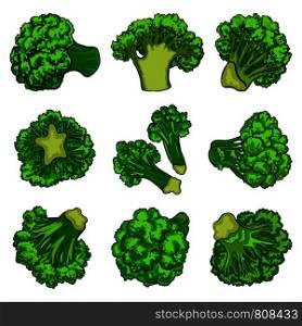 Broccoli icon set. Cartoon set of broccoli vector icons for web design. Broccoli icon set, cartoon style
