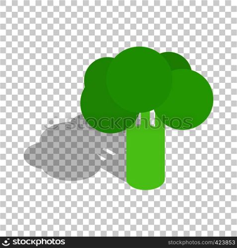 Broccoli isometric icon 3d on a transparent background vector illustration. Broccoli isometric icon