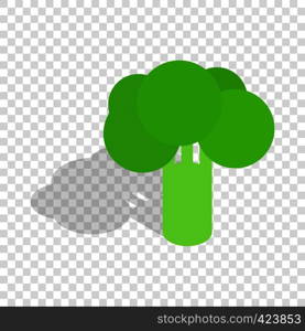 Broccoli isometric icon 3d on a transparent background vector illustration. Broccoli isometric icon