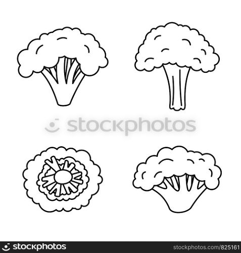 Broccoli plant icon set. Outline set of broccoli plant vector icons for web design isolated on white background. Broccoli plant icon set, outline style