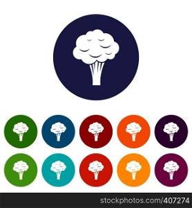 Broccoli set icons in different colors isolated on white background. Broccoli set icons