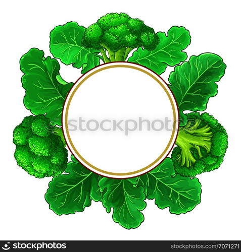 broccoli vector frame on white background. broccoli vector frame