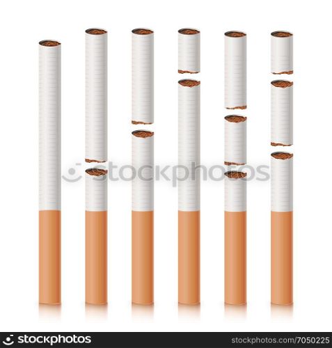 Broken Cigarettes Set Vector. Smoking Kills. Quit Smoking Concept. World No Tobacco Day. Realistic Close-up Illustration. Isolated. Broken Cigarettes Vector. Smoking Kills. Medical Healthcare Quit Smoking Concept. Tobacco Leaves. Realistic Illustration. Isolated On White.