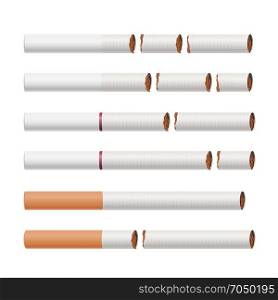 Broken Cigarettes Vector. Smoking Kills. Medical Healthcare Quit Smoking Concept. Tobacco Leaves. Realistic Illustration. Isolated On White.. Broken Cigarettes Set Vector. Smoking Kills. Quit Smoking Concept. World No Tobacco Day. Realistic Close-up Illustration. Isolated