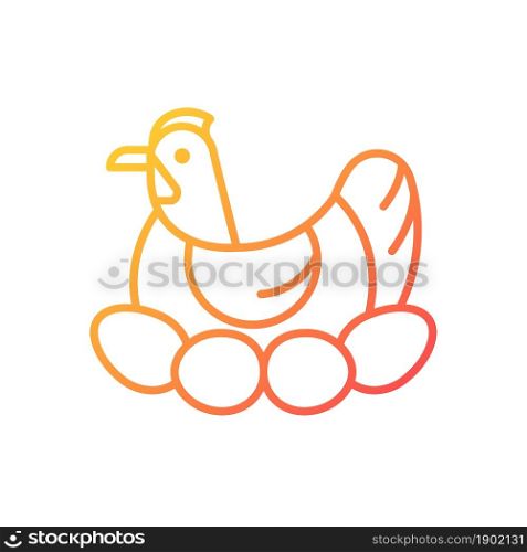 Brood hen gradient linear vector icon. Bird sitting on egg clutch to incubate chicks. Nesting fowl. Brooding chicken. Thin line color symbol. Modern style pictogram. Vector isolated outline drawing. Brood hen gradient linear vector icon