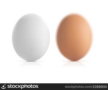 brown and white vector eggs with shadow and reflection on white background