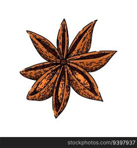 brown anise star hand drawn. dry food, spice ingredient, chinese condiment brown anise star vector sketch. isolated color illustration. brown anise star sketch hand drawn vector