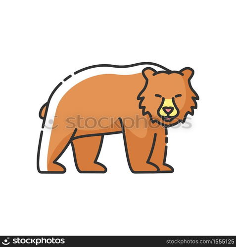 Brown bear RGB color icon. Large carnivore predator, dangerous woodland creature, forest inhabitant. Common nordic fauna. Grizzly bear isolated vector illustration. Brown bear RGB color icon