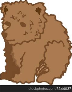 brown bear sketched drawing