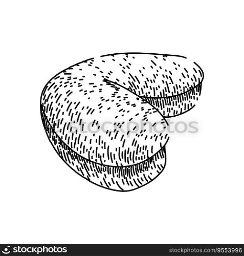 brown cashew nut hand drawn. view natural, whole indian, seed healthy brown cashew nut vector sketch. isolated black illustration. brown cashew nut sketch hand drawn vector