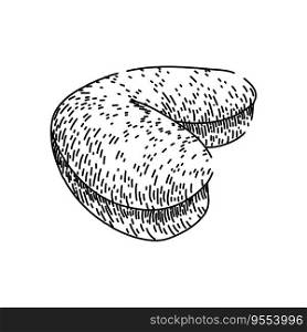 brown cashew nut hand drawn. view natural, whole indian, seed healthy brown cashew nut vector sketch. isolated black illustration. brown cashew nut sketch hand drawn vector