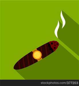 Brown cigar icon. Flat illustration of cigar vector icon for web isolated on green background. Brown cigar icon, flat style