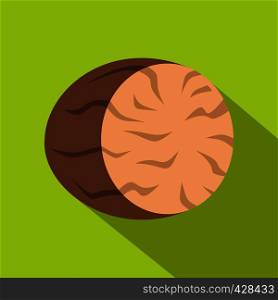 Brown half of nutmeg icon. Flat illustration of brown half of nutmeg vector icon for web isolated on lime background. Brown half of nutmeg icon, flat style