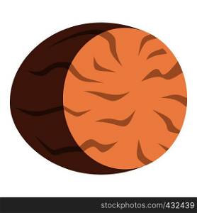 Brown half of nutmeg icon flat isolated on white background vector illustration. Brown half of nutmeg icon isolated