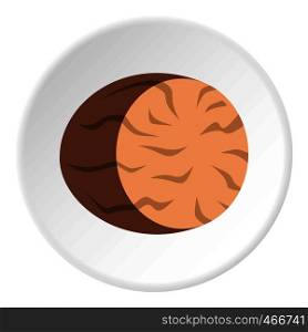 Brown half of nutmeg icon in flat circle isolated on white background vector illustration for web. Brown half of nutmeg icon circle