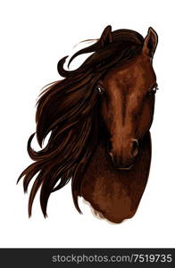 Brown horse artistic portrait. Beautiful mustang with long mane waving aside and looking straight forward. Brown mustang horse artistic portrait