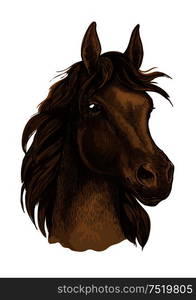 Brown horse artistic portrait. Beautiful mustang with long mane waving in wind and looking aside. Brown mustang horse artistic portrait