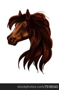 Brown horse head with long wavy mane. Gazing bay stallion. Beautiful pony portrait. Horse head with long wavy mane
