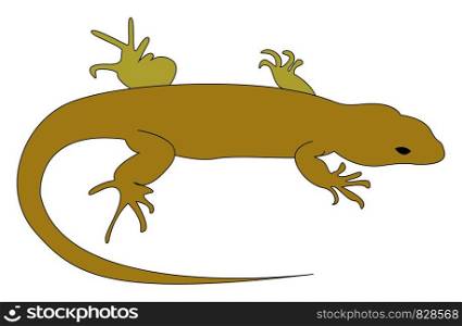 Brown lizard, illustration, vector on white background.
