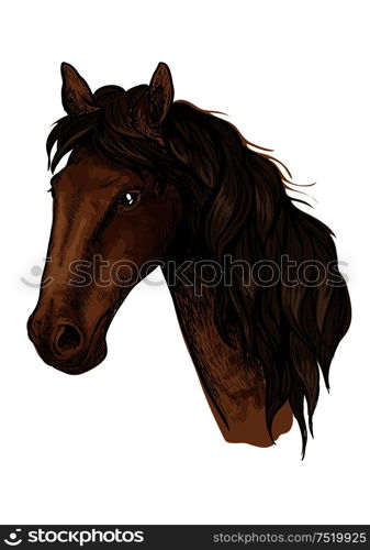 Brown racehorse sketch with head of purebred mare horse of arabian breed. Horse racing, equestrian sporting competition symbol or t-shirt print design. Brown racehorse sketch for horse racing design