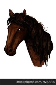 Brown racehorse sketch with head of purebred mare horse of arabian breed. Horse racing, equestrian sporting competition symbol or t-shirt print design. Brown racehorse sketch for horse racing design