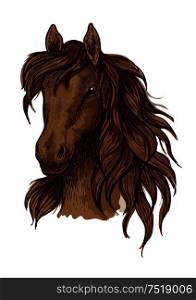 Brown running mustang portrait. Horse stallion looking ahead with wavy mane and kind shiny eyes. Brown running mustang portrait