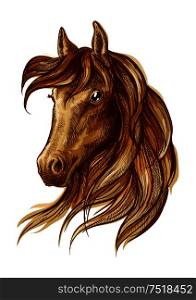 Brown stallion horse head sketch with purebred arabian racehorse. Equestrian sporting theme, horse racing badge and t-shirt print design. Brown stallion horse icon for equestrian design