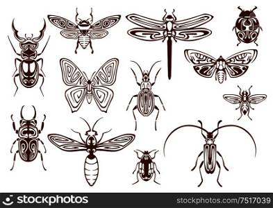 Brown tribal butterfly, bee, moth, dragonfly, wasp, ladybug, scarab and stag beetles, bumblebee, firefly and shield bugs. Decorative insects, adorned by ethnic ornaments for tattoo, embellishment or mascot design usage. Brown tribal insects for tattoo or mascot design