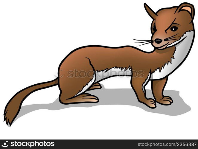 Brown Weasel - Colored Cartoon Illustration Isolated on White Background, Vector