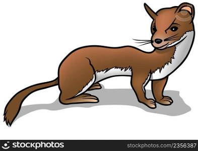 Brown Weasel - Colored Cartoon Illustration Isolated on White Background, Vector