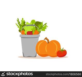 Bucket metal vegetables colorful cartoon vector illustration. Vegetarian nutrition market concept onion pumpkin tomato carrot salad and other product. Organic healthy food harvest delivery package. Bucket metal vegetables colorful cartoon vector illustration.