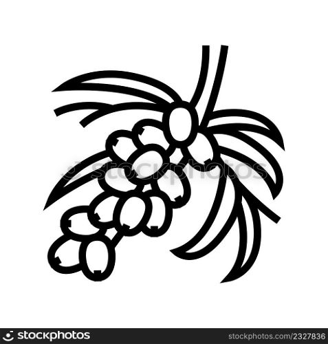 buckthorn berry tree branch line icon vector. buckthorn berry tree branch sign. isolated contour symbol black illustration. buckthorn berry tree branch line icon vector illustration