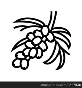 buckthorn berry tree branch line icon vector. buckthorn berry tree branch sign. isolated contour symbol black illustration. buckthorn berry tree branch line icon vector illustration