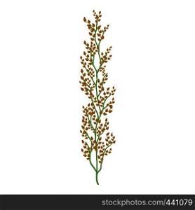 Buckwheat icon. Cartoon illustration of buckwheat vector icon for web. Buckwheat icon, cartoon style