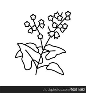 buckwheat plant healthy line icon vector. buckwheat plant healthy sign. isolated contour symbol black illustration. buckwheat plant healthy line icon vector illustration
