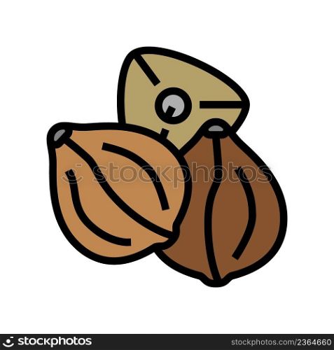 buckwheat seed color icon vector. buckwheat seed sign. isolated symbol illustration. buckwheat seed color icon vector illustration