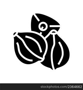 buckwheat seed glyph icon vector. buckwheat seed sign. isolated contour symbol black illustration. buckwheat seed glyph icon vector illustration