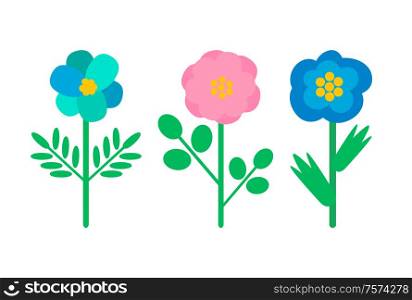 Buds with blue and pink petals, green stems and leaves, woods greenery, biological species. Plants, wild flowers isolated vector icons, nature elements. Buds Blue and Pink Petals, Green Stems and Leaves