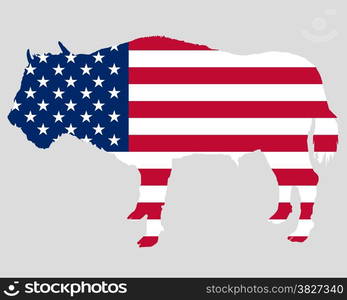 Buffalo in stars and stripes