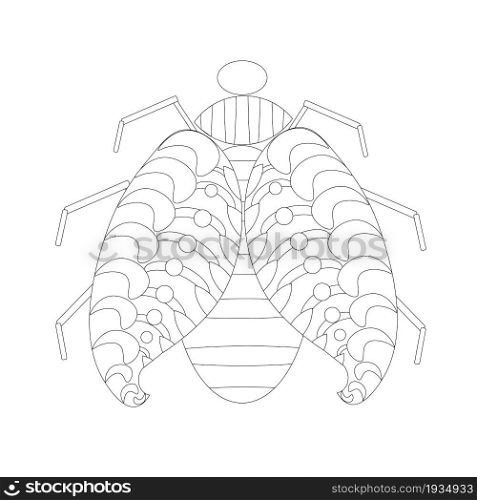 Bug doodle ornament monochrome for web, for print
