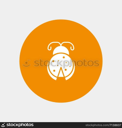 Bug, Insect, Ladybug, Spring