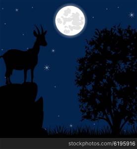 Bugles sawhorse on stone. Silhouette wild mountain sawhorse on stone moon in the night