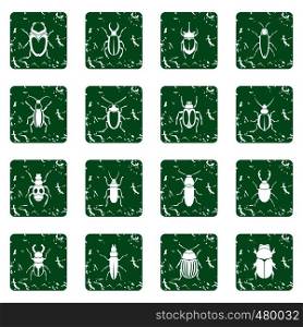 Bugs icons set in grunge style green isolated vector illustration. Bugs icons set grunge