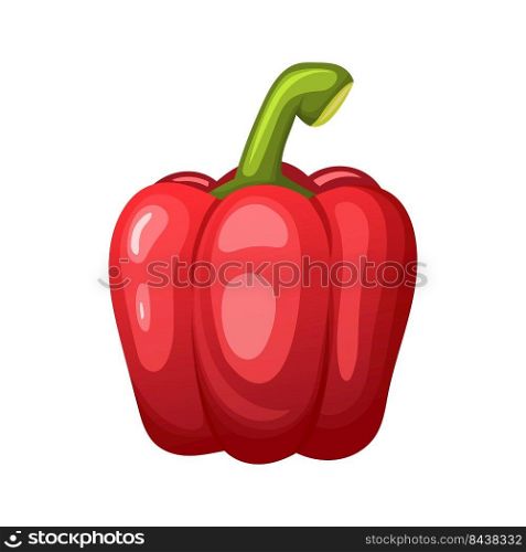 bulgarian pepper cartoon vector red yellow paprica, sweet capsicum, hot vegetable food color illustration. bulgarian pepper cartoon vector