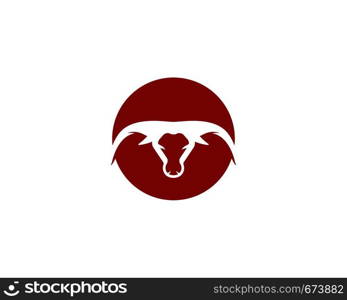 Bull logo template vector icon illustration design