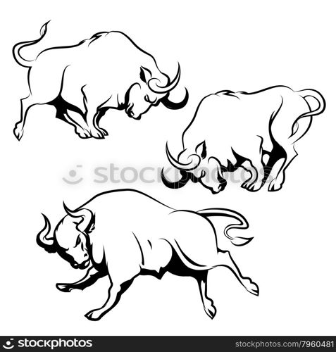 Bull Sign or Emblem set. Running Angry Bull in different poses. Isolated on white background.