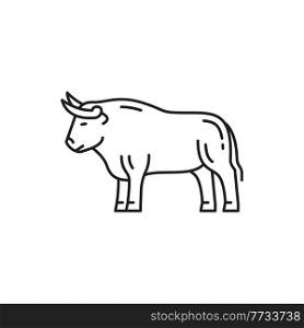 Bull symbol of Portuguese corrida isolated thin line icon. Vector farm cow or buffalo, beef mammal with horns. Traditional Spain and portugal animal, bullfight contests ox. Taurus horoscope sign. Cow bull buffalo farm cow ox, taurus sign isolated