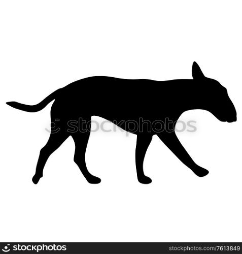 Bull terrier dog black silhouette on white background.